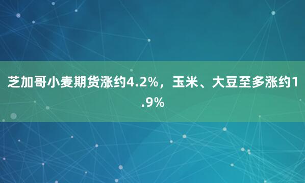 芝加哥小麦期货涨约4.2%，玉米、大豆至多涨约1.9%