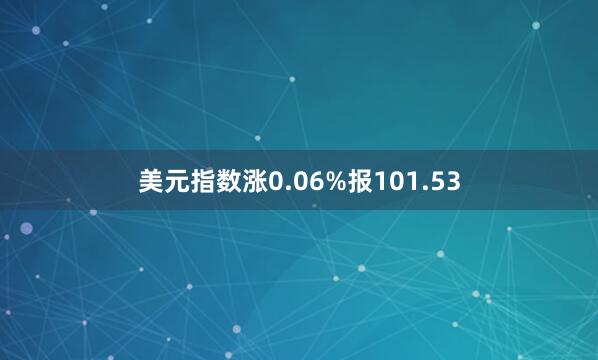 美元指数涨0.06%报101.53