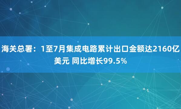 海关总署:1至7月集成电路累计出口金额达2160亿美元 同比增长99.5%