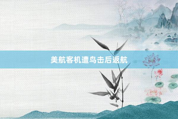 美航客机遭鸟击后返航