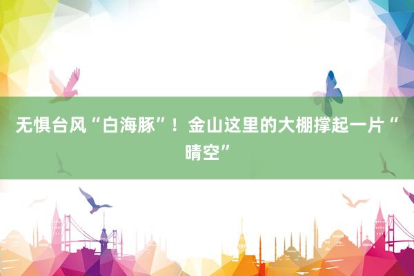 无惧台风“白海豚”！金山这里的大棚撑起一片“晴空”