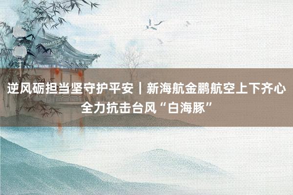 逆风砺担当坚守护平安｜新海航金鹏航空上下齐心全力抗击台风“白海豚”