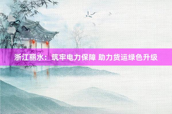 浙江丽水：筑牢电力保障 助力货运绿色升级