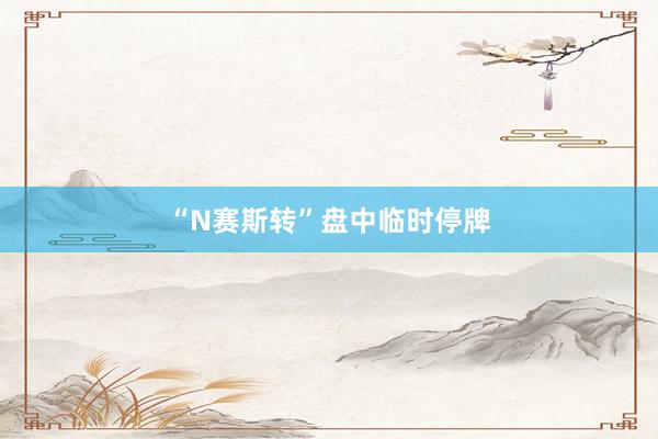 “N赛斯转”盘中临时停牌