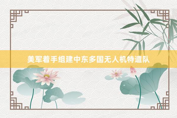 美军着手组建中东多国无人机特遣队