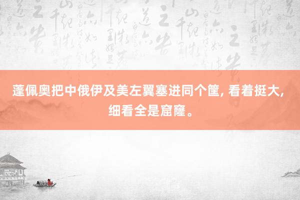 蓬佩奥把中俄伊及美左翼塞进同个筐, 看着挺大, 细看全是窟窿。
