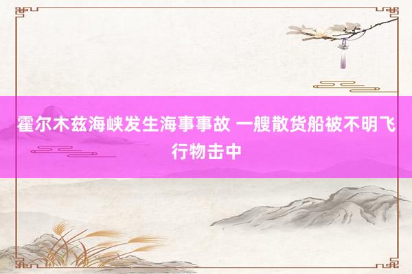 霍尔木兹海峡发生海事事故 一艘散货船被不明飞行物击中