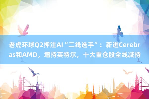 老虎环球Q2押注AI“二线选手”：新进Cerebras和AMD，增持英特尔，十大重仓股全线减持
