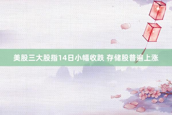 美股三大股指14日小幅收跌 存储股普遍上涨