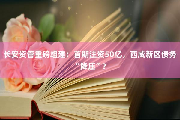 长安资管重磅组建：首期注资50亿，西咸新区债务“降压”？