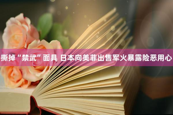 撕掉“禁武”面具 日本向美菲出售军火暴露险恶用心
