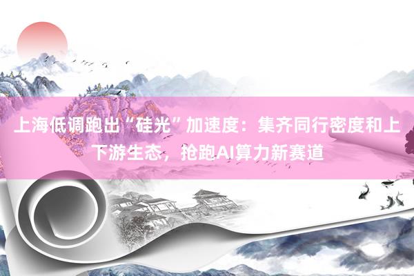 上海低调跑出“硅光”加速度：集齐同行密度和上下游生态，抢跑AI算力新赛道