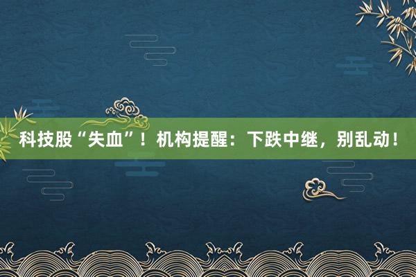 科技股“失血”！机构提醒：下跌中继，别乱动！