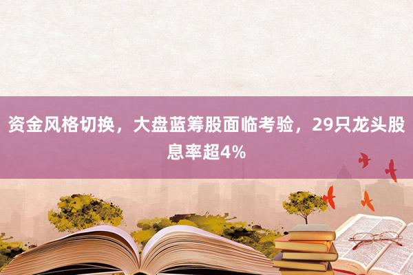 资金风格切换，大盘蓝筹股面临考验，29只龙头股息率超4%