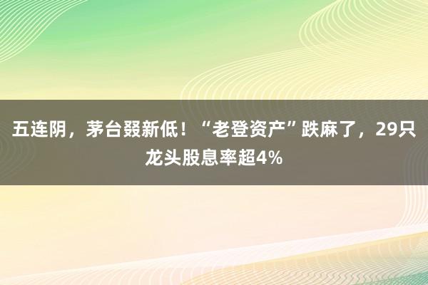 五连阴，茅台叕新低！“老登资产”跌麻了，29只龙头股息率超4%