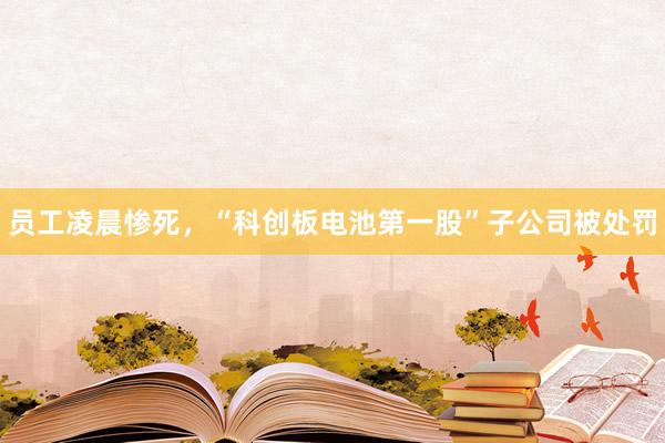 员工凌晨惨死，“科创板电池第一股”子公司被处罚