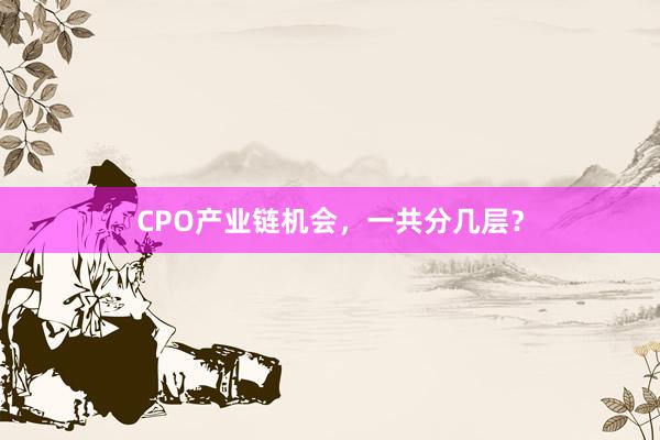 CPO产业链机会，一共分几层？