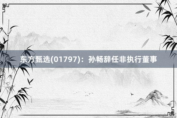 东方甄选(01797)：孙畅辞任非执行董事
