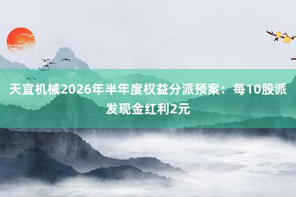 天宜机械2026年半年度权益分派预案：每10股派发现金红利2元