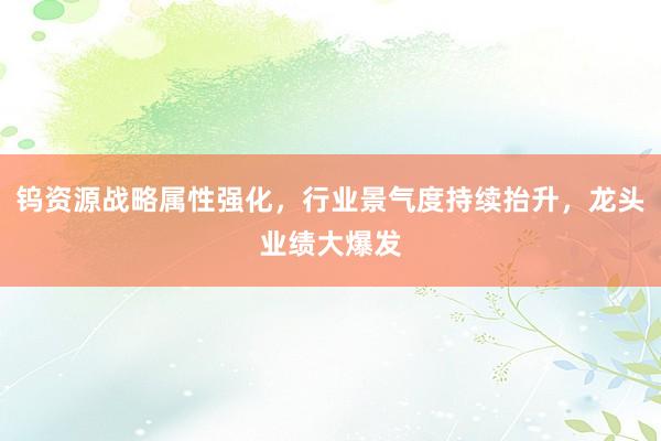 钨资源战略属性强化，行业景气度持续抬升，龙头业绩大爆发