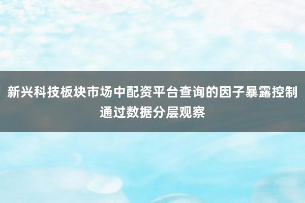 新兴科技板块市场中配资平台查询的因子暴露控制通过数据分层观察