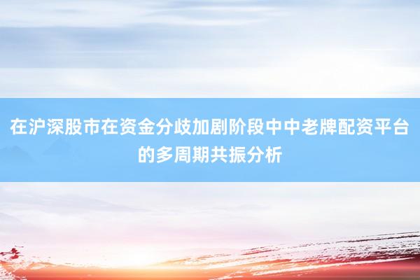 在沪深股市在资金分歧加剧阶段中中老牌配资平台的多周期共振分析