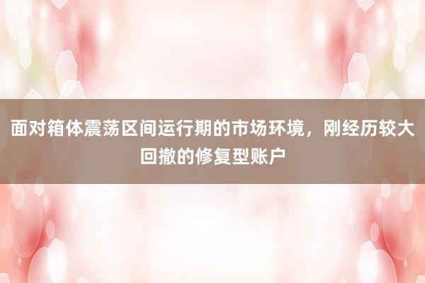面对箱体震荡区间运行期的市场环境，刚经历较大回撤的修复型账户