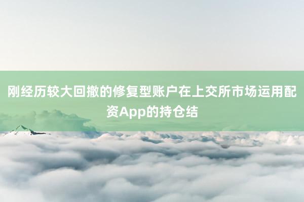 刚经历较大回撤的修复型账户在上交所市场运用配资App的持仓结