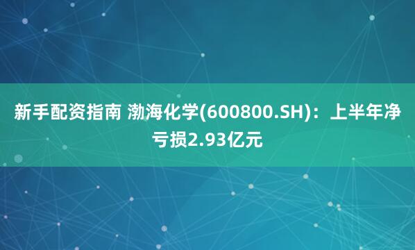 新手配资指南 渤海化学(600800.SH)：上半年净亏损2.93亿元