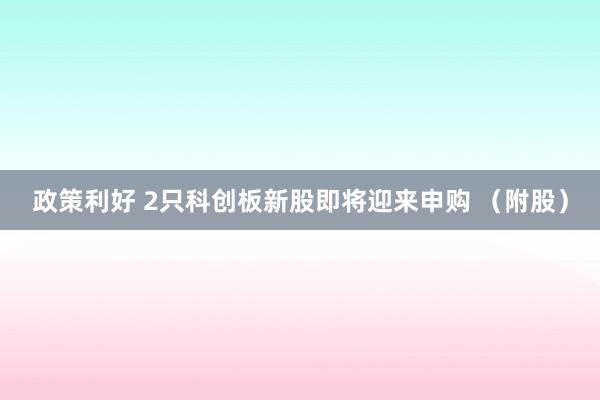 政策利好 2只科创板新股即将迎来申购 （附股）