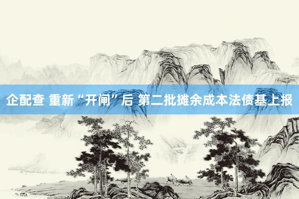 企配查 重新“开闸”后 第二批摊余成本法债基上报