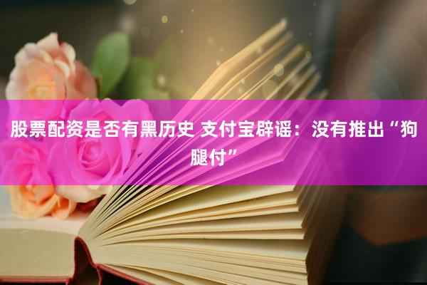 股票配资是否有黑历史 支付宝辟谣：没有推出“狗腿付”