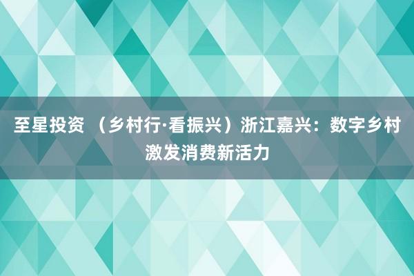 至星投资 （乡村行·看振兴）浙江嘉兴：数字乡村激发消费新活力