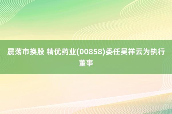 震荡市换股 精优药业(00858)委任吴祥云为执行董事