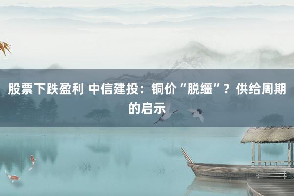 股票下跌盈利 中信建投：铜价“脱缰”？供给周期的启示