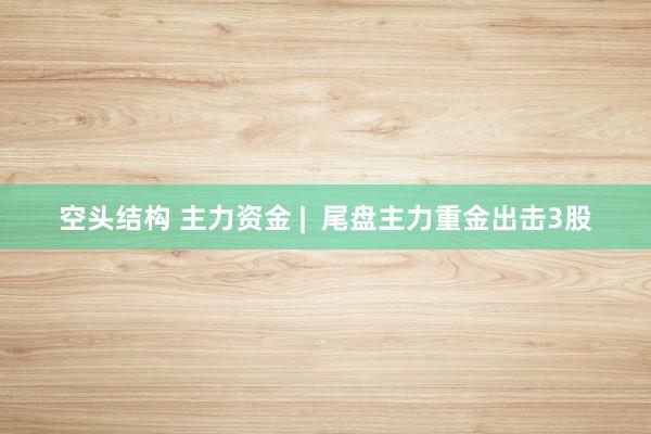 空头结构 主力资金 | 尾盘主力重金出击3股