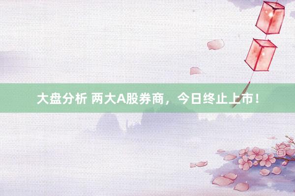 大盘分析 两大A股券商，今日终止上市！