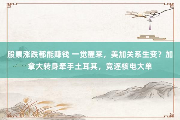 股票涨跌都能赚钱 一觉醒来，美加关系生变？加拿大转身牵手土耳其，竞逐核电大单