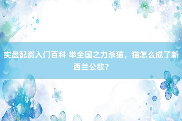 实盘配资入门百科 举全国之力杀猫，猫怎么成了新西兰公敌？